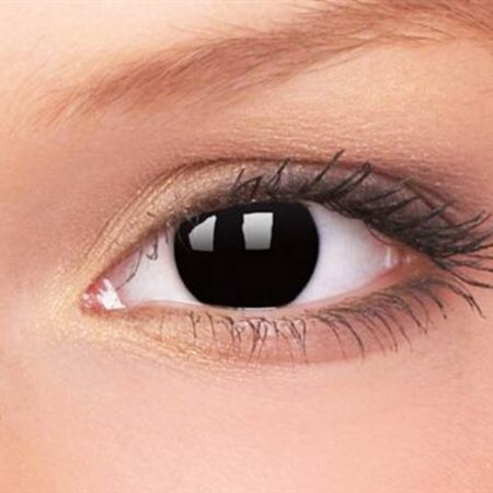 rock lee contacts